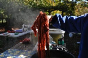Madder-in-Progress